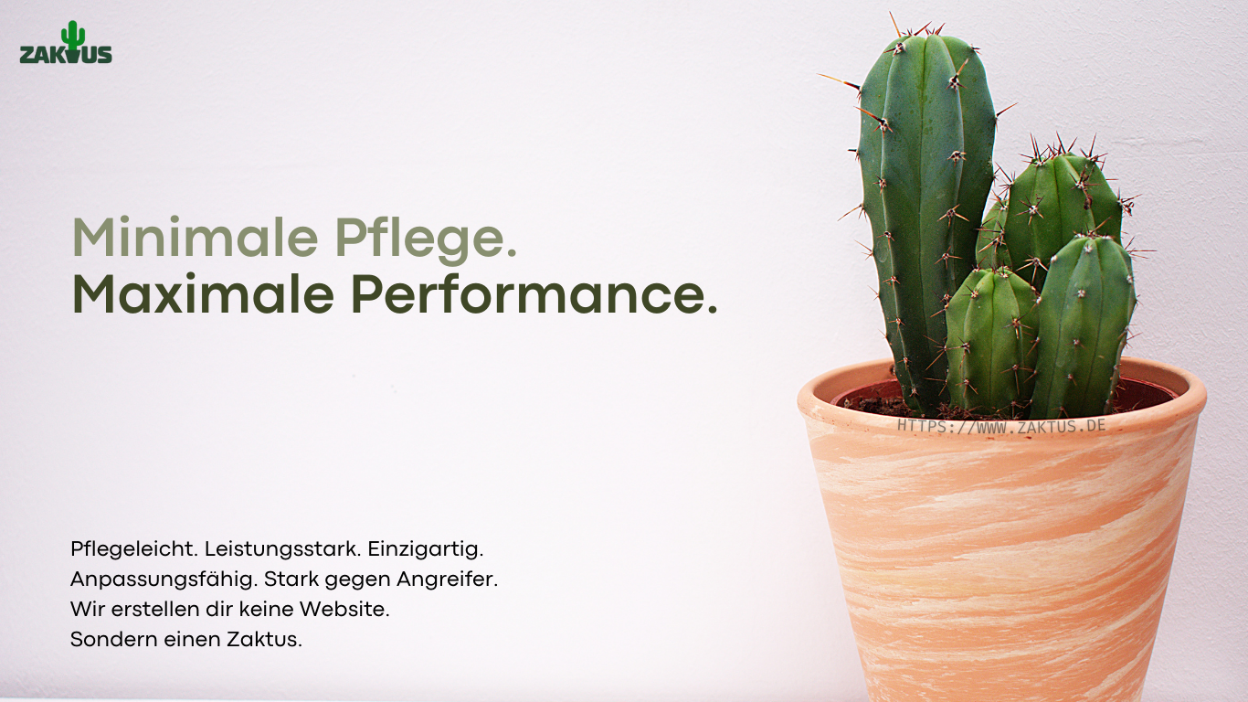 Zaktus.de